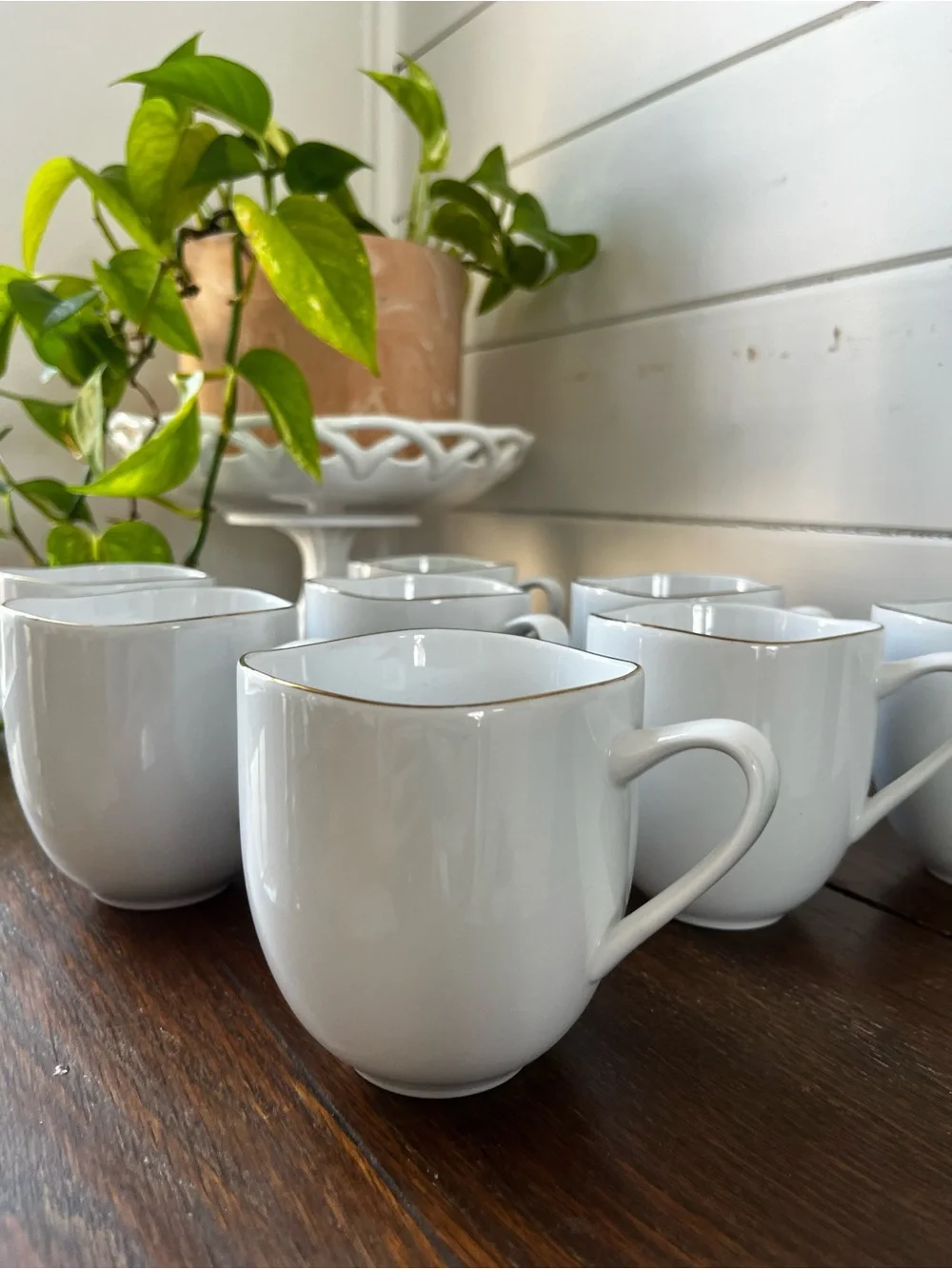 West Elm Organic white Porcelain Gold-Rimmed Mugs set of 8
